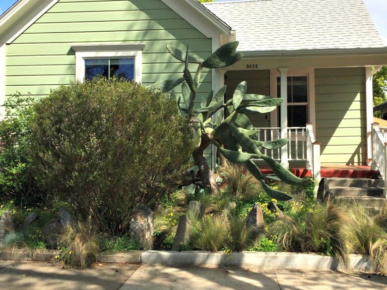 The first landscaping project of our homestead is the front yard garden, including cactus removal. Read more and check out our project!