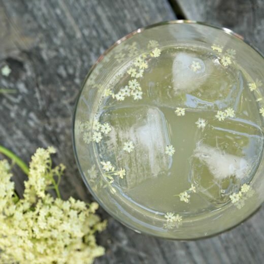 enjoy a drink of elderflower cordial made from forage elderflower