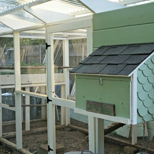 Looking for a perfect chicken run and house? Check out this tour de’ coop of a pretty and practical setup, perfect for the urban yard!