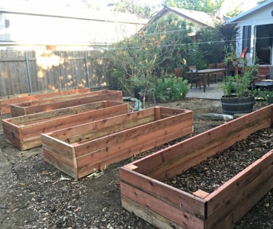 Raised beds are a great way to grow an edible garden! Read more about how to choose and buy wood for your own raised beds.